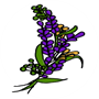 logo-site