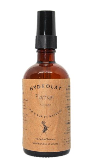 Hydrolat de Plantain - Plantago