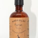 Hydrolat de Plantain - Plantago