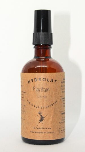 Hydrolat de Plantain - Plantago