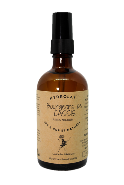 Hydrolat de Bourgeons de cassis - ribes nigrum