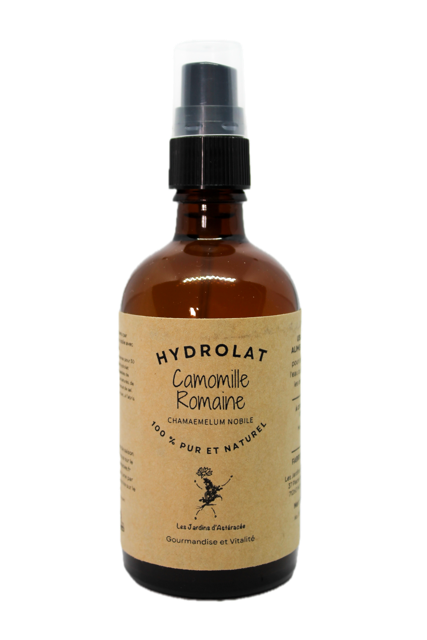 Hydrolat de camomille romaine - Chamaemelum nobile
