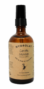 Hydrolat de carotte sauvage - Daucus carota