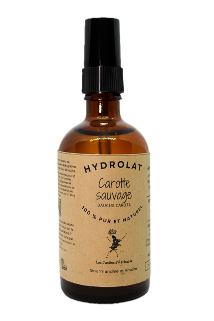 Hydrolat de carotte sauvage - Daucus carota