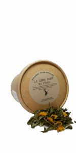 Le calme avant les rêves