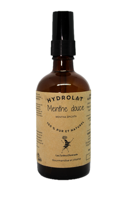 Hydrolat de Menthe douce - Mentha spicata