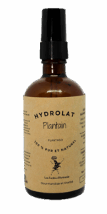 Hydrolat de Plantain - Plantago