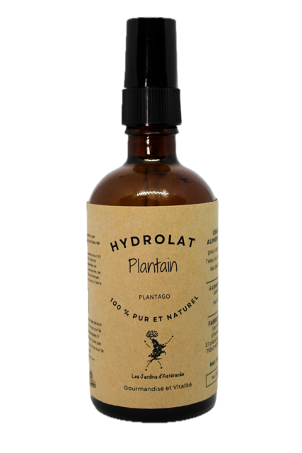 Hydrolat de Plantain - Plantago